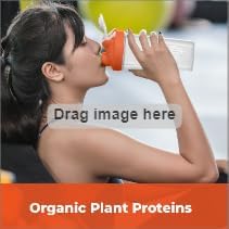Organic Cashew Protein Powder Single Ingredient 10g Protein Per Serving High in Potassium Phosphorus Calcium! 6oz Plant-Based Vegan Non-GMO 6 Servings High Fiber No Added Sugar