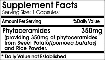 No Wheat Phytoceramides 350mg // 100 Capsules // Pure // by PureControl Supplements