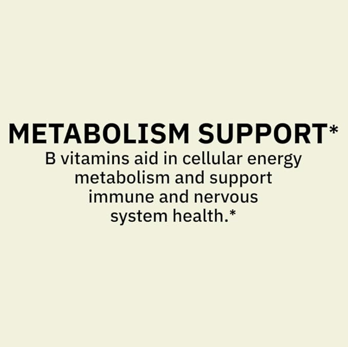 Spring Valley Super Vitamin B-Complex Dietary Supplement Tablets for Metabolism Support 500 Tablets + Dipaze Gift (Container)