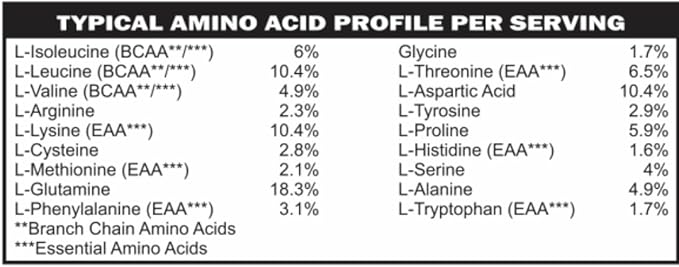 Casa de Sante Advanced Whey Protein Isolate Chocolate GLP-1 Support Low FODMAP Gut Friendly Protein Powder with ProHydrolase Enzymes Naturally Sweetened - 25g Protein - 13 oz