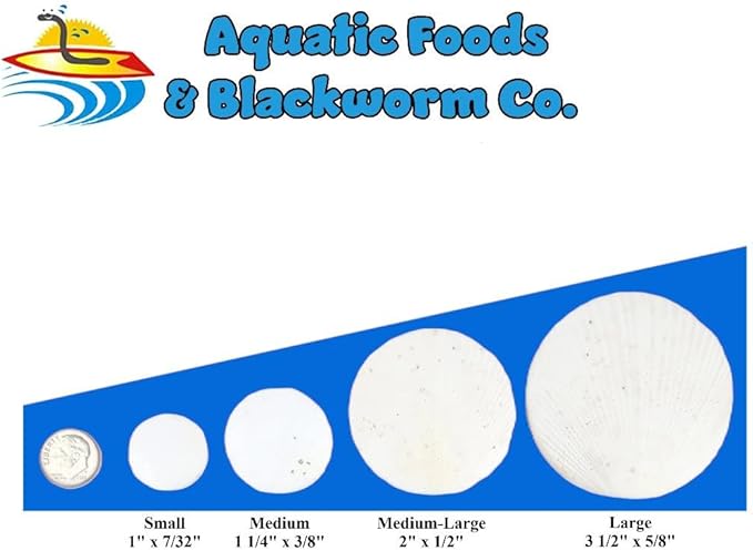 Aquatic Foods Inc. Calcium Feeder Disks for Shrimp Snails Crabs Crayfish Hermit Crabs and All Tropical Fish 50 Count Jar of Small &amp Medium Feeder Disks