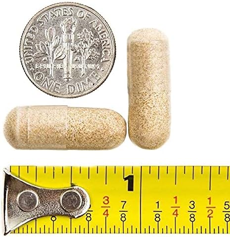 90-Day Bariatric Vitamin Bundle by BariatricPal (Multivitamin ONE 1 per Day! Iron-Free Capsule and Calcium Citrate Soft Chews 500mg with Probiotics - Orange Creamsicle)