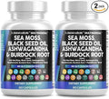 Clean Nutraceuticals Sea Moss Black Seed Oil Ashwagandha Turmeric Bladderwrack Burdock &amp Vitamin C Vitamin D3 with Elderberry Manuka Dandelion Yellow Dock Iodine Chlorophyll ACV - 2Pack