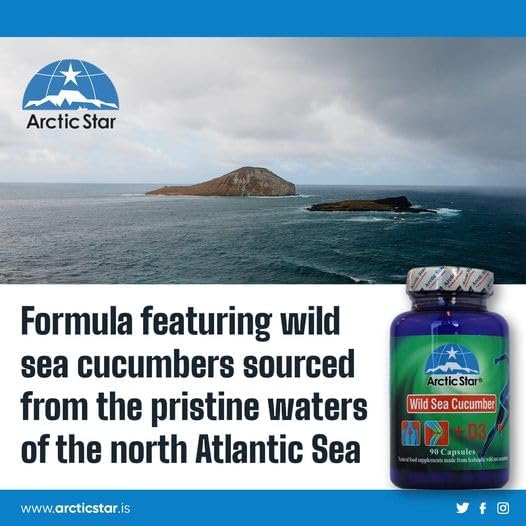 Arctic Star - Sea Cucumber with Vitamin D3 Capsules Pure Icelandic Wild Caught Sea Cucumber Extract &amp D3 Supplement Pills - Cucumaria Frondosa 北极星海参+D3胶囊 (90 Capsules 400mg) 1Bottle