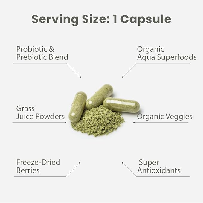 Paradise Herbs Earth's Blend Women's Once Daily Multivitamin with Iron 48 Organic Superfoods Probiotics Antioxidants Vitamins A B12 C D K2 120 Capsules