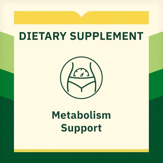 Spring Valley Super Vitamin B-Complex Dietary Supplement Tablets for Metabolism Support 500 Tablets + Dipaze Gift (Container)