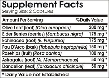 Max Immune Defense ~ 180 Capsules - No Additives ~ Naturetition Supplements