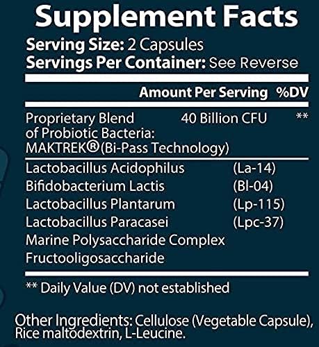 Probiotic Blend - 1050CT Value Size Bottle of Multiple Strains of Key Bacteria Include Lactobacillus Acidophilus Bifidobacterium Lactis L. Plantarum L. Paracasei