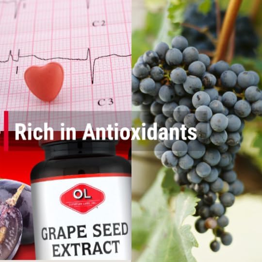 Olympian Labs Grape Seed Extract Capsules - 120 mg - 100 Daily Capsules Supporting Heart Health and Antioxidant Protection