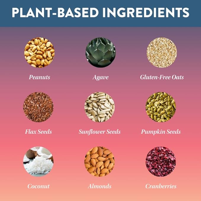 Protein Puck Plant Based Bars | Snacks with Vegan Protein | 16 Count | 3.25 oz Full Size | Gluten Free Non Dairy Kosher Certified Non GMO Premium Healthy Bars | Wanderlust