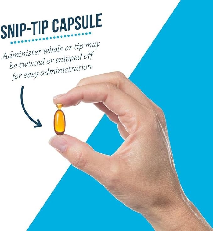Free Form Snip Tips Omega-3 Fish Oil Liquid Supplement for Small Dogs and Cats 60 Count