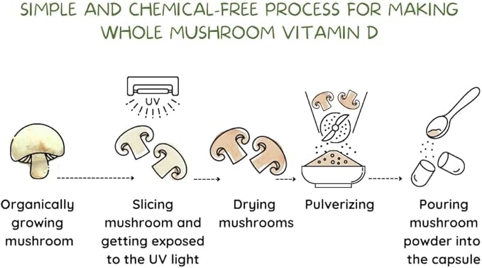 Vegan Whole Food Vitamin D 2000 IU (50 mcg) D2 Two Ingredients (Organic Whole Mushroom and Organic Vegan Capsule) Non-GMO Third Party Tested 60 Day Supply