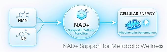 1LifeScience Blood Sugar Blend Supplement – NMN Urolithin A Berberine &amp Alpha Lipoic Acid – NAD+ Support Formula – cGMP Made in USA – 60 Veg Caps