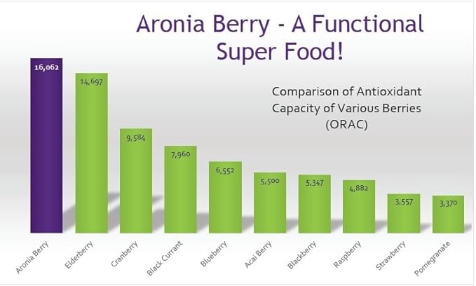 Aronia Powder | Aronia Berry Powder from Black Chokeberry Plant | 52 Servings | Supports Digestion and Gut Health | Made with Organic Aronia Berries | Black Chokeberry Supplement