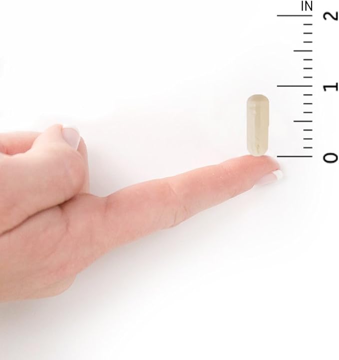 Garden of Life Dr. Formulated Probiotics Urinary Tract+ - 50 Billion CFU - Supports Digestive Immune &amp Urinary Tract Health - 60 Vegetarian Capsules