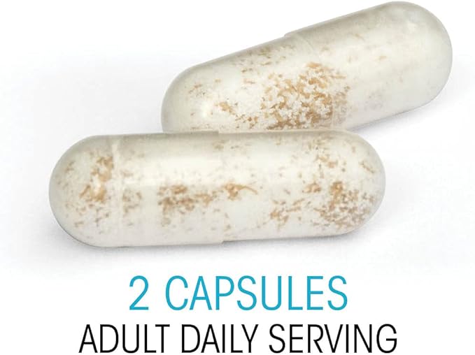 Silver Fern Brand Ultimate Probiotic 4-Pack – Probiotics for Women &amp Men – 8 Billion CFU Spore-Forming Gut Health Supplement – DNA Verified Probiotic Shelf-Stable High Survivability – 240 Capsu