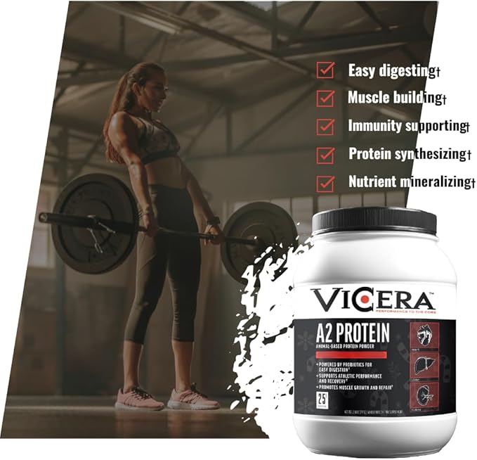 A2 Protein Powder Peppermint Milkshake 25 G Protein per Serving Organic A2/A2 Whey Casein Blend With Probiotics and Celtic Sea Salt Gluten Free Workout Supplement Non GMO 20 Serv 27.4 Oz