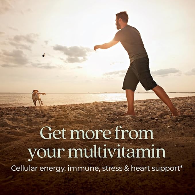 New Chapter Men’s Multivitamin B6 Extra B12 D3 Vitamin C &amp Zinc Immune Heart Cellular Energy and Brain Health Gentle on The Stomach One Daily Non-GMO Gluten-Free 18+ 96 Tablets