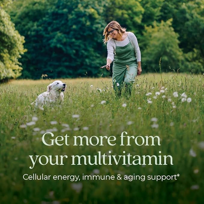 New Chapter Women’s Multivitamin 40+ Extra B6 &amp B12 Biotin for Hair Growth D3 VIT C Zinc for Immune &amp Stress Support Gentle on an Empty Stomach Non-GMO Gluten-Free 96 Tablets (Pack o