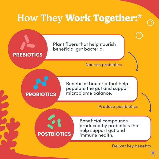 FIRST DAY Kids 3-in-1 Probiotic Gummies – Prebiotic + Probiotic + Postbiotic Supplement – Supports Digestive &amp Oral Health Immune Function &amp Energy Levels – 30-Day Supply
