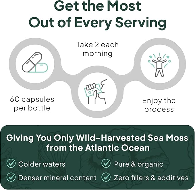 Organics Ocean Wild Sea Moss Capsules - 100% Organic Irish Sea Moss with Organic Chlorella Bladderwrack and Vitamin D for Energy Lung Health and Thyroid Support for Women and Men - 6 Bottles