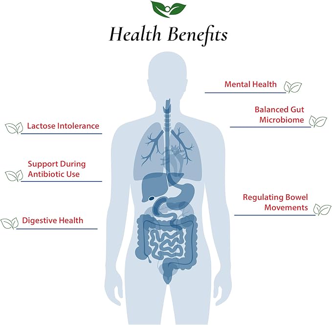Foods For Gut Lactobacillus Acidophilus Probiotic Powder 200 Billion cfu's | Made in USA | No Additives | Direct from Manufacturer | No Third-Party Storage | Immune Support | 100 Grams (3.52 Oz)