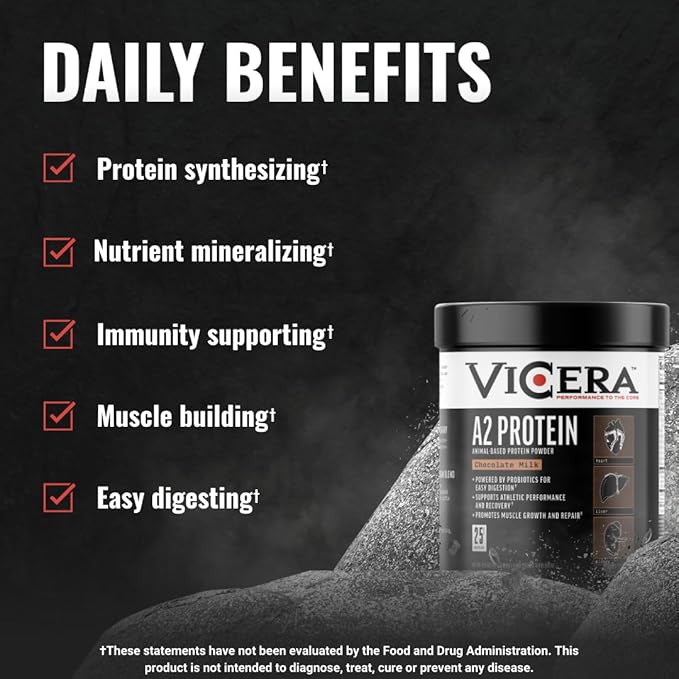 A2 Protein Powder Chocolate Milk 25 G Protein per Serving Organic A2/A2 Whey Casein Blend with Probiotics and Celtic Sea Salt Gluten Free Workout Supplement Non GMO 20 Servings 27.4 Oz