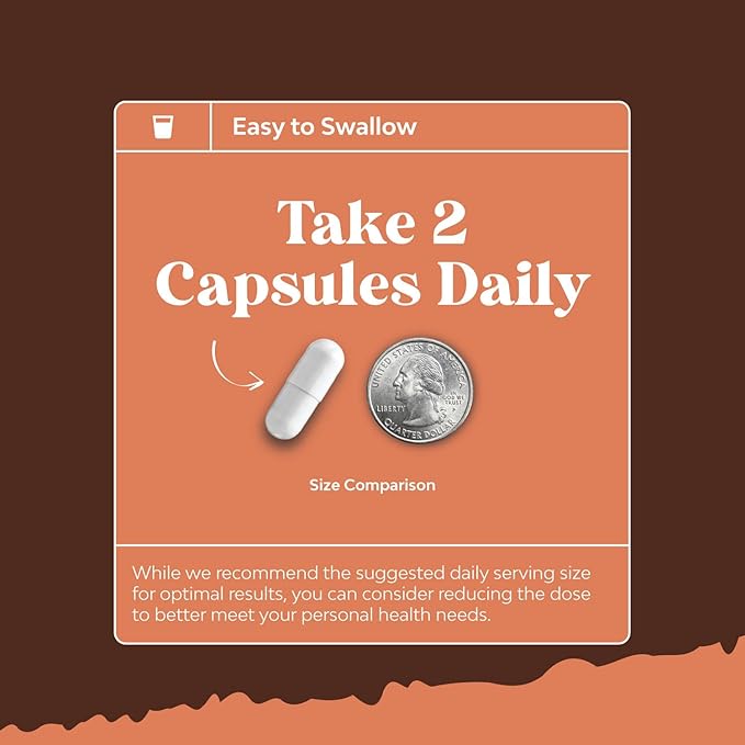 Bundle of Nootropic Memory Supplement with Vitamin B 12 Bacopa Monnieri Rhodiola Rosea DMAE Ginkgo Biloba and Mushroom Complex 10X Lions Mane with Reishi Chaga Maitake Shiitake for Brain Support