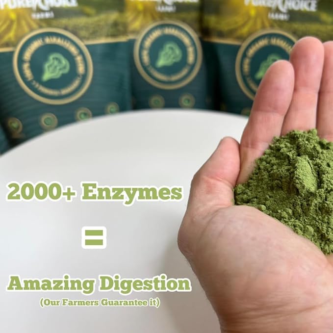 Organic Greens Superfood Powder USA Grown - Kale Wheatgrass Broccoli Astragalus Spirulina &amp Chlorella USA Grown (10.6 oz 1 Month Supply)