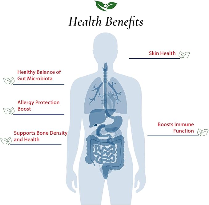 Foods For Gut Lactobacillus Helveticus Probiotic Powder 100 Billion cfu's | No Additives | Direct from Manufacturer | No Third-Party Storage | Immune Support | L. Helveticus | 30 Grams (1.05 Oz)