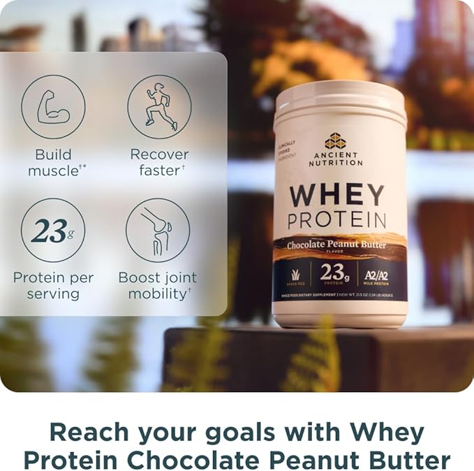 Ancient Nutrition Grass-fed Whey +Fat Loss Protein Powder Vanilla Cinnamon 18 Servings + Grass-fed Whey Protein Powder Chocolate Peanut Butter 18 Servings