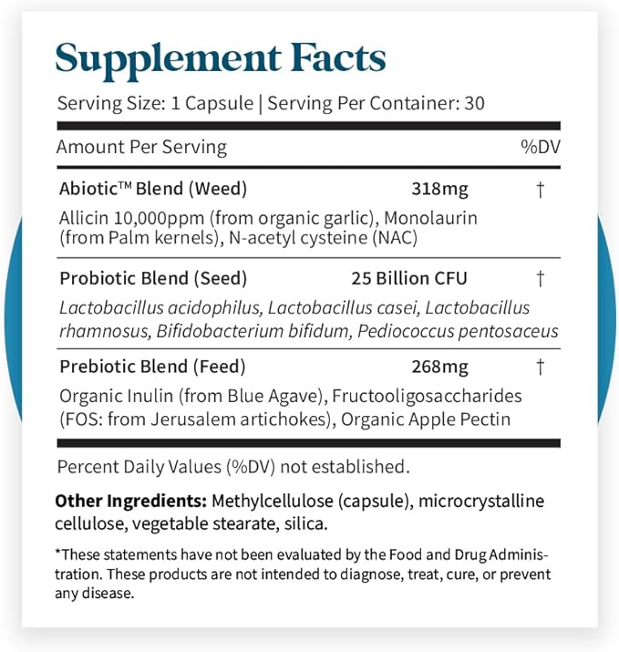 Pattern Wellness Gut Support Supplement - Digestive Support - Probiotic + Prebiotic Blend - Vegan Non-GMO - 3rd Party Lab Tested - 30 Capsules