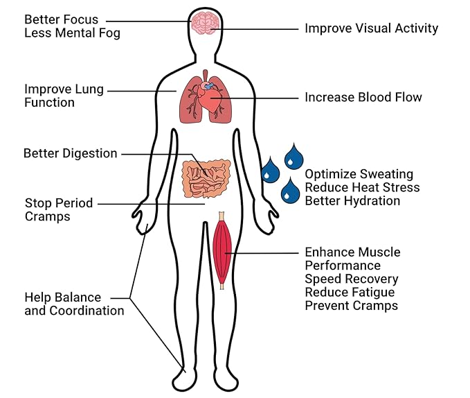Krampade High Fiber High Potassium Electrolyte Powder Low Sugar Lemon Lime 9g Dietary Fiber 3950mg Electrolytes 2000mg Potassium 50mg Mag Digestive Health Support Cramp Relief 19 Servings