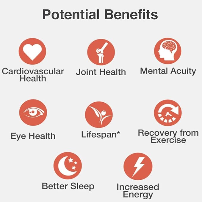 MyVitalC Combo of Organic Extra Virgin Olive Oil MCT &amp Avocado Oil - ESS60 Antioxidant Supplement - For Anti-Aging Longevity Sleep Energy - Pack of 3
