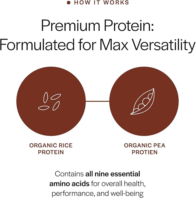 Gainful Everyday Plant Protein Powder 23g Plant Protein per Serving Unflavored Supports Strength Recovery and Balanced Nutrition Vegan Gut Friendly No Artificial Ingredients 14 Servings