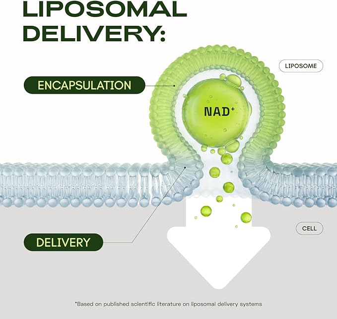 Liposomal NAD Supplement with Resveratrol – NMN Supplement Alternative – Third-Party Tested – 30-Day Supply – Advanced NAD+ Resveratrol