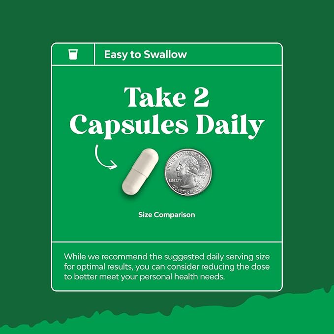 Prebiotics and Probiotics Gut Health Supplement-Super Potent Digestive Health Acidophilus Probiotic Capsules with Men &amp Womens Probiotics &amp Prebiotics for Colon Digestive Support and Immunity