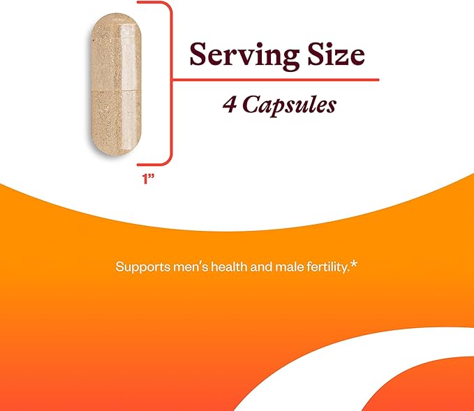 Seeking Health Optimal Man - Multivitamin Supplement with Zinc Active Folate &amp Alpha-Lipoic Acid - Multivitamin Supports Energy &amp Brain Health - Support Healthy Aging &amp Men's Health - 30