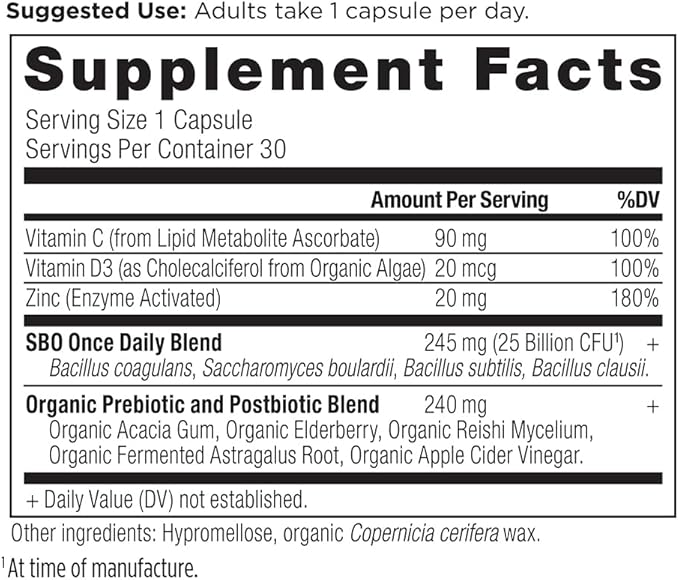 Ancient Nutrition Probiotics for Immune Support SBO Once Daily Probiotics with Vitamin C and Vitamin D 30Ct for Healthy Digestion and Immune System Function Support 25 Billion CFUs*
