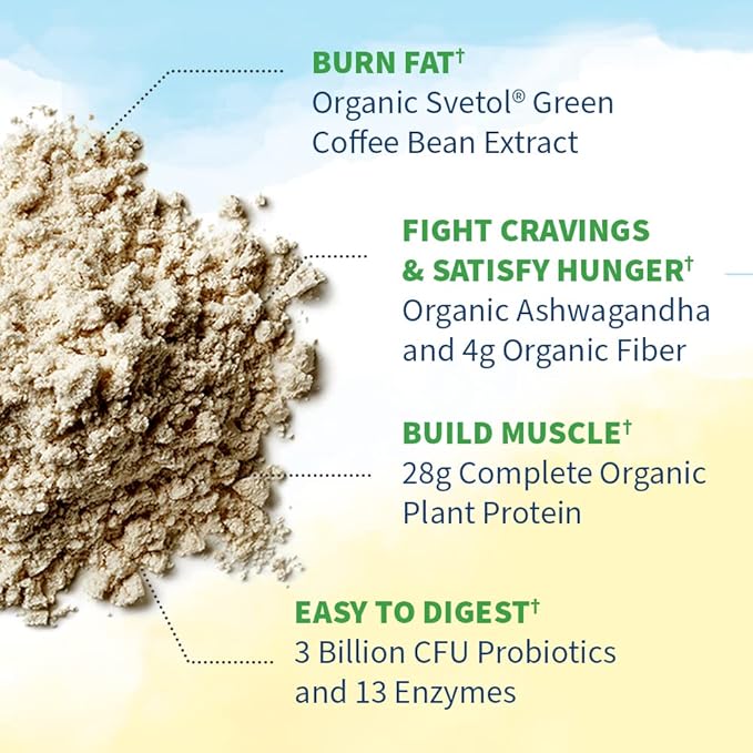 Garden of Life Raw Organic Fit Original Flavor Vegan Protein Powder – 28g Plant Based Powder for Weight Management Raw Protein Probiotics &amp Fiber Non-GMO Gluten-Free Vegan 10 Servings