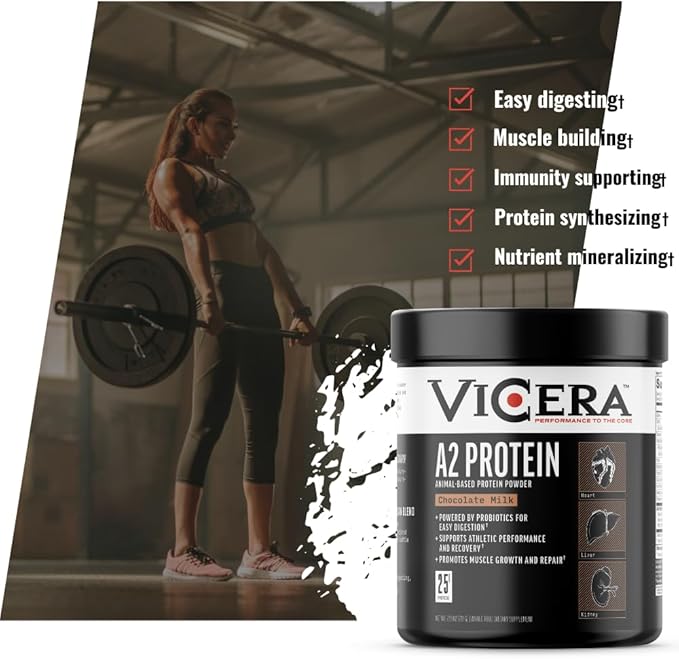 A2 Protein Powder Chocolate Milk 25 G Protein per Serving Organic A2/A2 Whey Casein Blend with Probiotics and Celtic Sea Salt Gluten Free Workout Supplement Non GMO 20 Servings 27.4 Oz