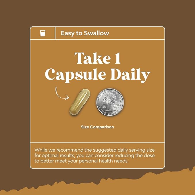 Bundle of Nootropic Memory Supplement with Vitamin B 12 Bacopa Monnieri Rhodiola Rosea DMAE Ginkgo Biloba and Advanced Lion's Mane Mushroom Supplement - Reishi Chaga Maitake Shiitake for Brain Support