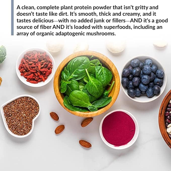 BioTrust Low Carb Plant Delicious Creamy 20 Grams of Clean Complete Plant-Based Protein 5 Grams Fiber 15 Superfoods Digestive Enzymes Vegan Dairy-Free - 14 Servings (Chocolate)