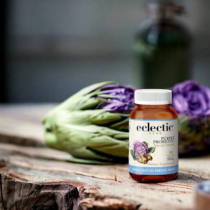 Eclectic Herb - Purple Probiotic Capsules | Digestive + Intestinal Support | Freeze Dried Concentrated Herbal Supplement | Vegan Non-GMO Gluten Free (90 CT | 300 mg)