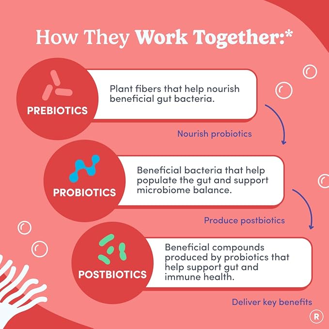 FIRST DAY Womens 3-in-1 Probiotic Gummies – Prebiotic + Probiotic + Postbiotic Supplement – Supports Digestive &amp Oral Health Immune Function &amp Energy Levels – 30-Day Supply