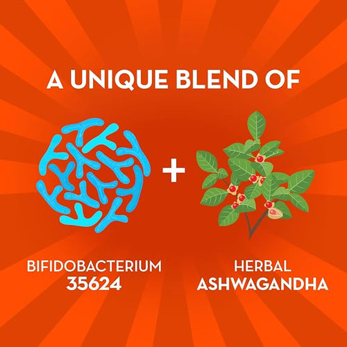 Align Probiotic Gut Health + Stress Support with Probiotics for Digestive Health and Ashwagandha to Help Calm Mind and Body* #1 Doctor Recommended Brand‡ 21 Capsules