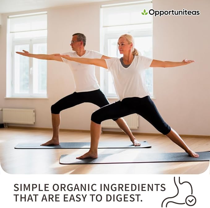Opportuniteas Organic Plant Based Protein Powder 20g Vegan Protein from Pea Pumpkin and Rice No Sugar Non-GMO Gluten-Free Creamy Chocolate 1 lb