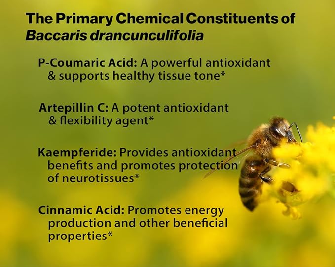 Dr. Ohhira's Propolis Plus with Brazilian Green Propolis 120 Capsules