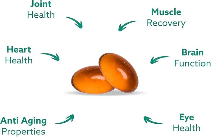 GLX3 Joint Support Extra Strength Omega-3 Supplement | Premium New Zealand Green Lipped Mussel Oil - Comfort Flexibility Muscle Recovery - ETA EPA DHA Omega 3 Supplement Capsules by Haka Life