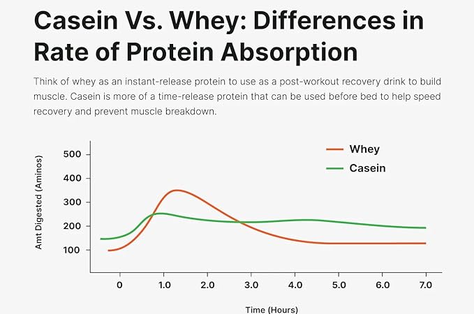Protein Powder Whey Protein Isolate Vanilla 1 Pound
